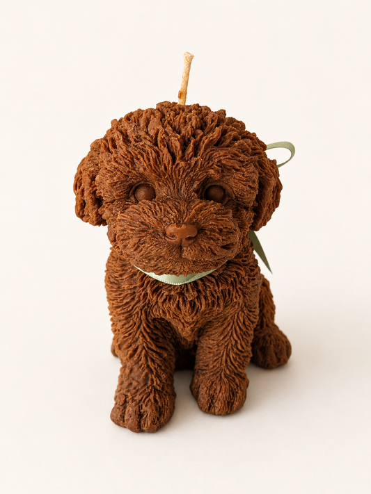 Handmade Large Cavoodle soy wax candle in brown by SZOFI & CO