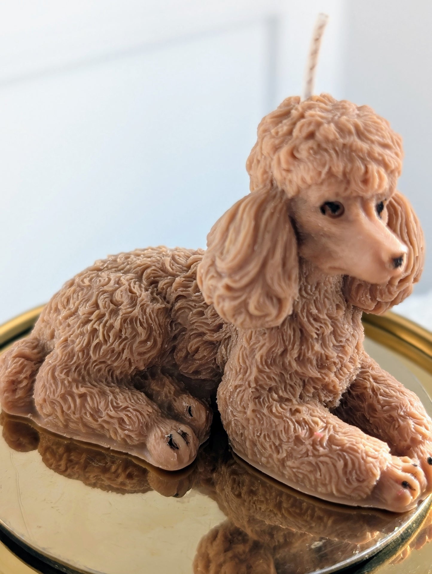 Poodle Dog - Pillar Candle