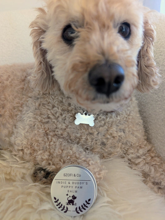 Pet Paw Balm – Natural Paw Protection for Your Precious Pooch (16g)