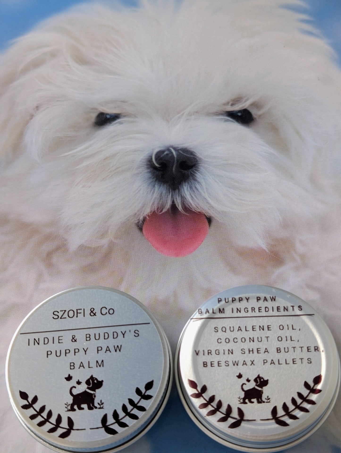 Pet Paw Balm – Natural Paw Protection for Your Precious Pooch (16g)