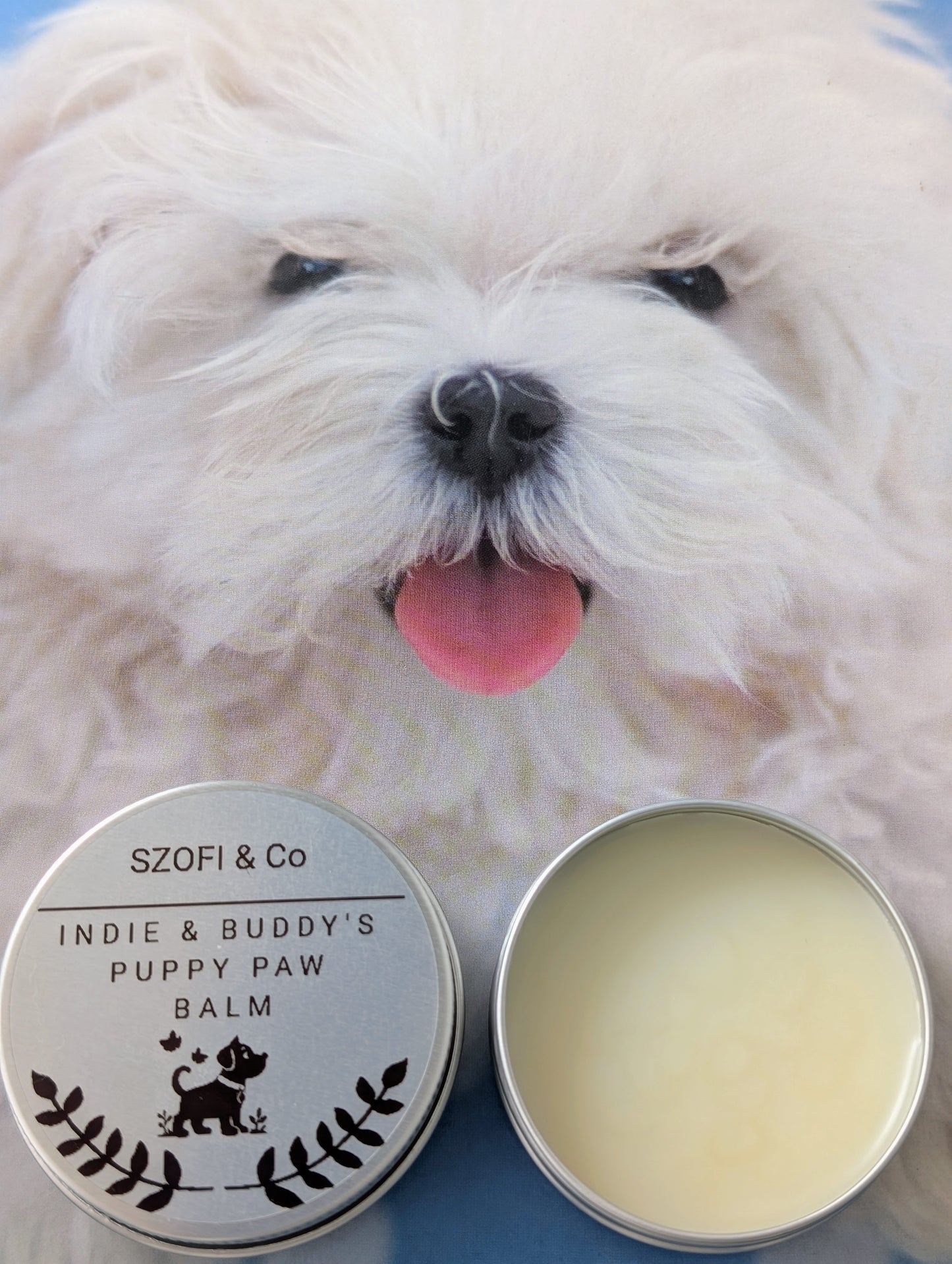 Pet Paw Balm – Natural Paw Protection for Your Precious Pooch (16g)