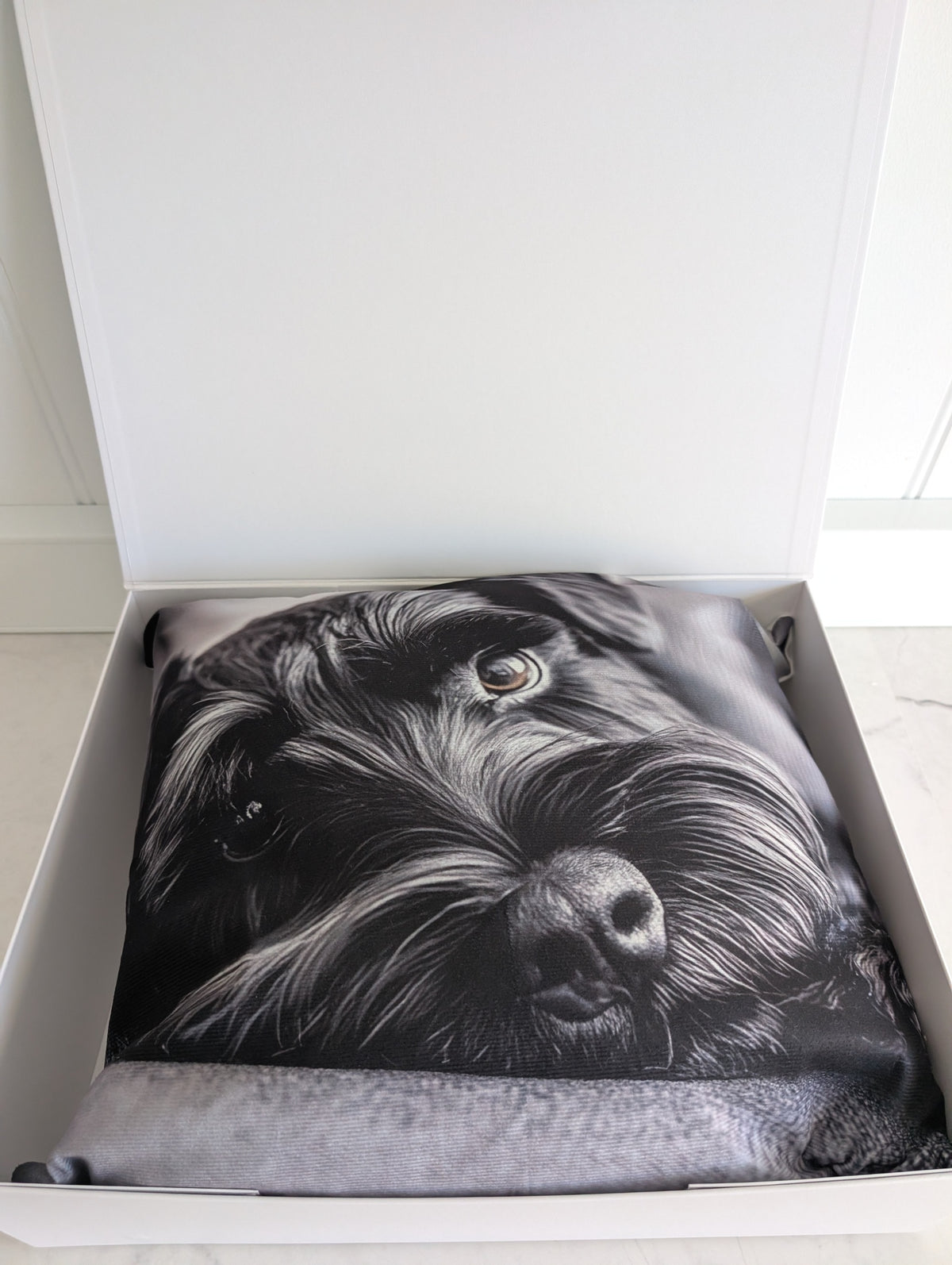 Black Schnauzer cushion nestled inside its large white gift box
