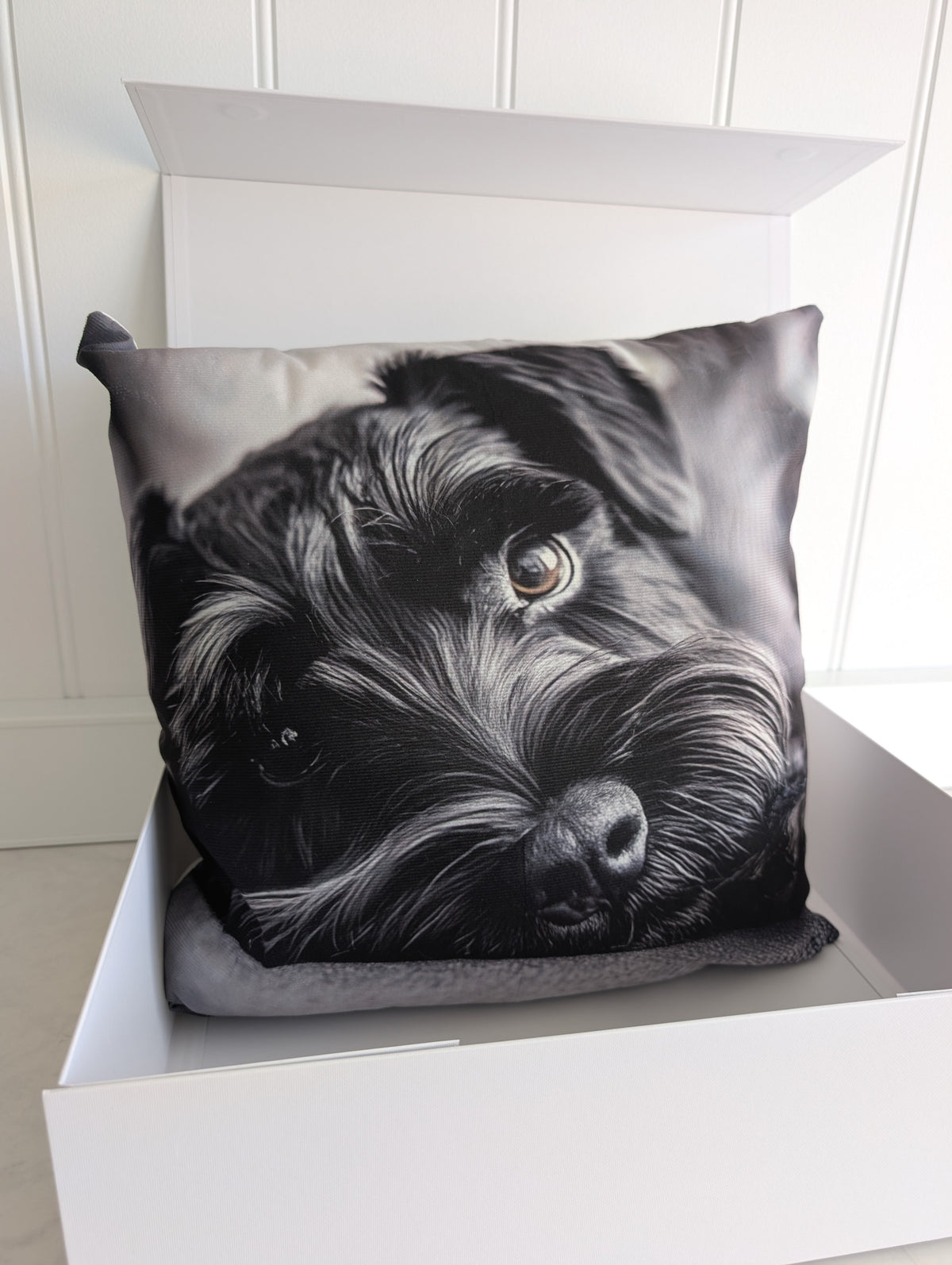 Black Schnauzer cushion – gift box